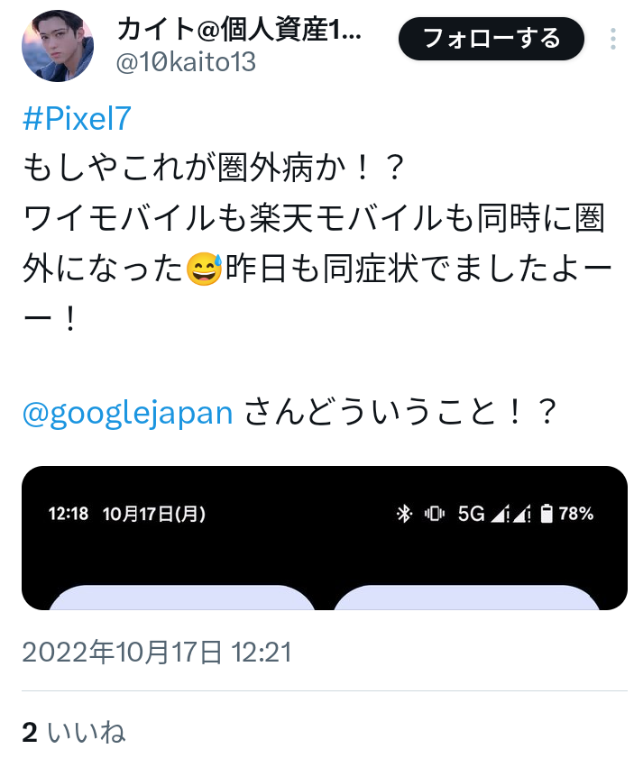 カイトのレビューの画像